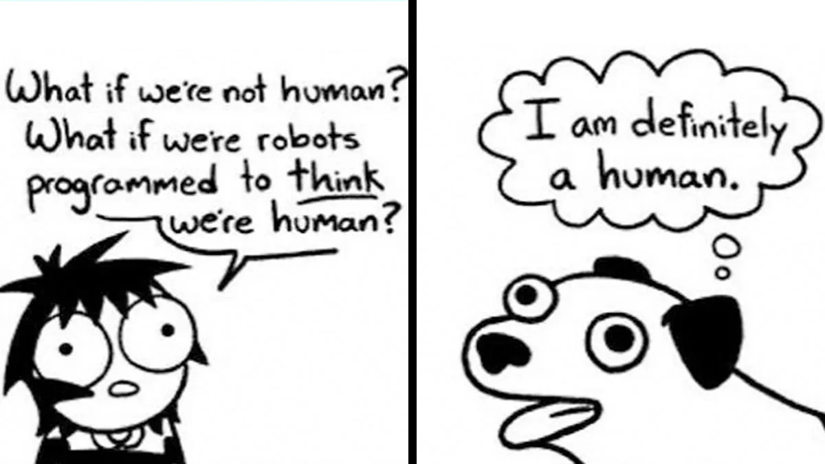 22 Funny Comics By Sarah Andersen Show The Quirky Differences Between Cats And Dogs