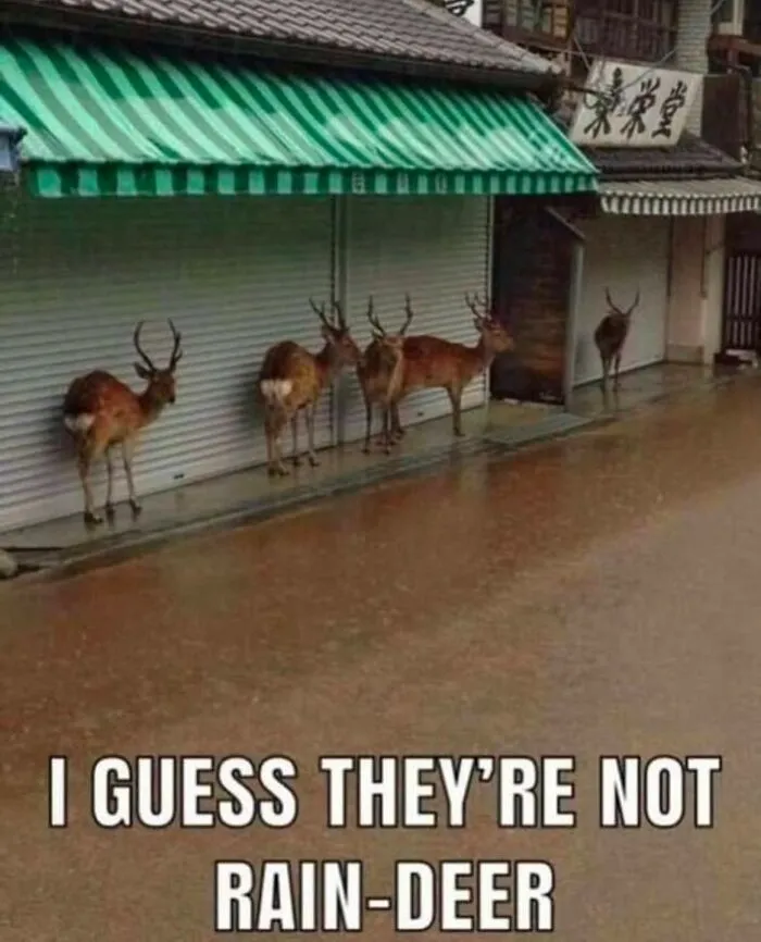 50 Funny Memes That Show Why Country Living Isn’t As Peaceful As You Think
