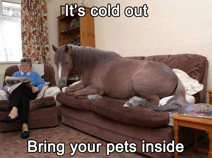 50 Funny Memes That Show Why Country Living Isn’t As Peaceful As You Think