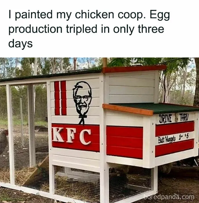 50 Funny Memes That Show Why Country Living Isn’t As Peaceful As You Think