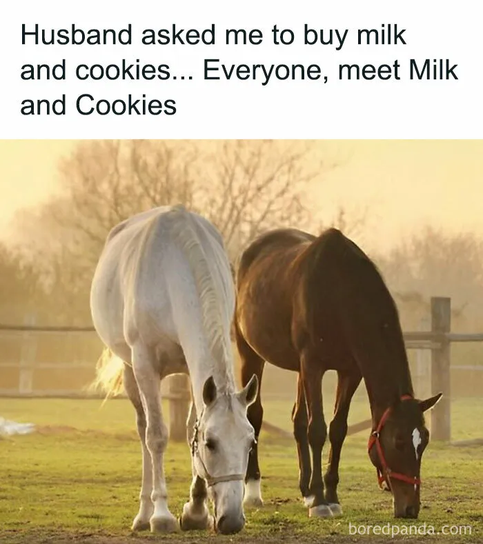 50 Funny Memes That Show Why Country Living Isn’t As Peaceful As You Think