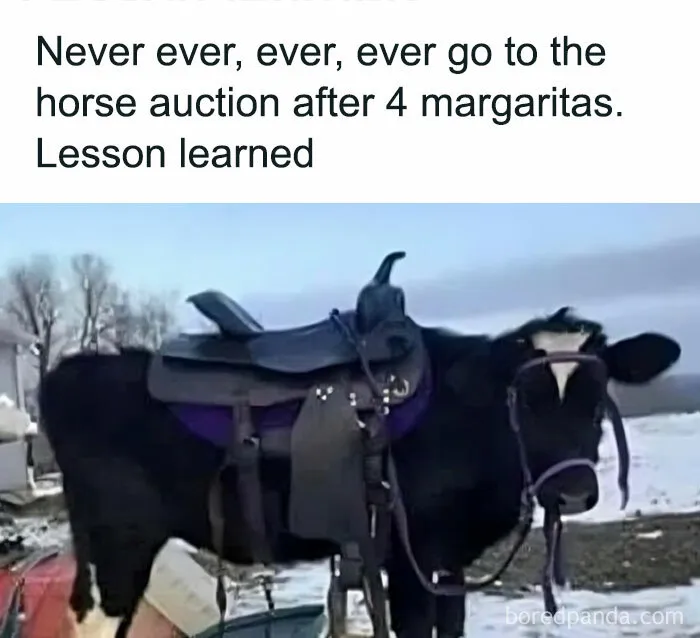 50 Funny Memes That Show Why Country Living Isn’t As Peaceful As You Think
