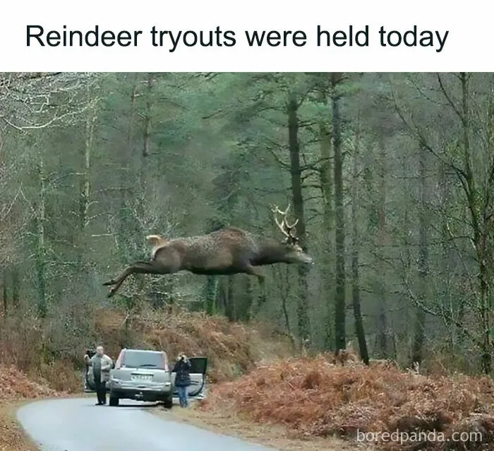 50 Funny Memes That Show Why Country Living Isn’t As Peaceful As You Think