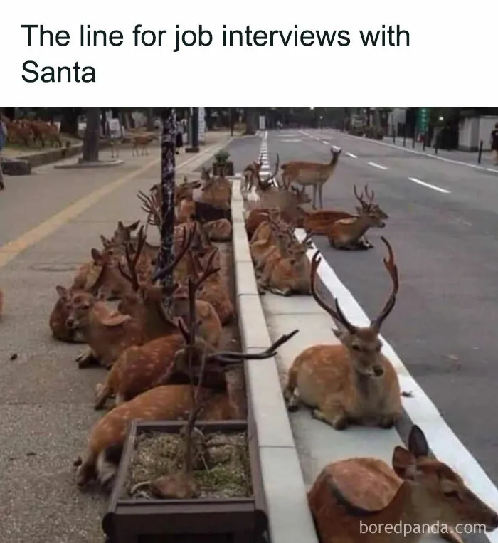 50 Funny Memes That Show Why Country Living Isn’t As Peaceful As You Think