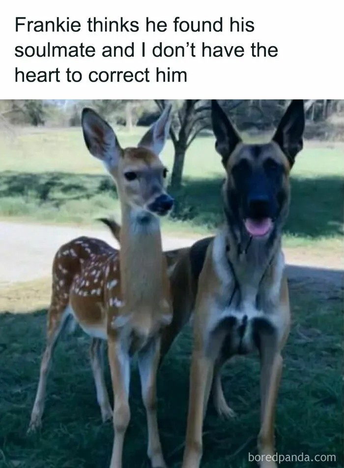 50 Funny Memes That Show Why Country Living Isn’t As Peaceful As You Think