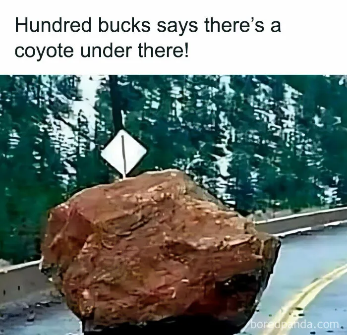 50 Funny Memes That Show Why Country Living Isn’t As Peaceful As You Think