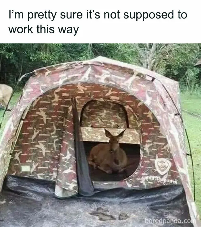 50 Funny Memes That Show Why Country Living Isn’t As Peaceful As You Think