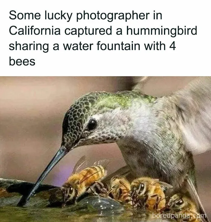 50 Funny Memes That Show Why Country Living Isn’t As Peaceful As You Think