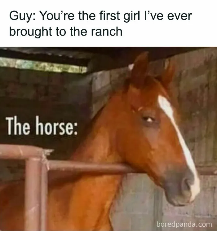 50 Funny Memes That Show Why Country Living Isn’t As Peaceful As You Think