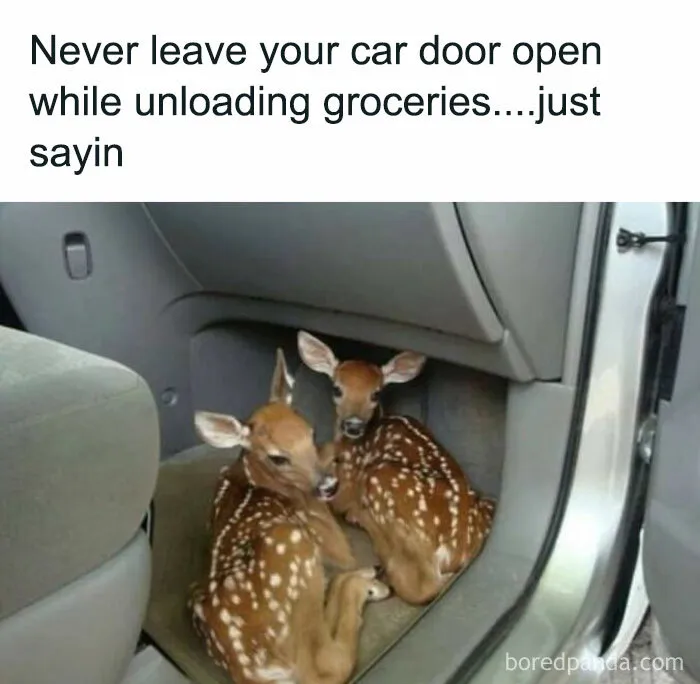 50 Funny Memes That Show Why Country Living Isn’t As Peaceful As You Think