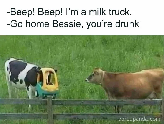 50 Funny Memes That Show Why Country Living Isn’t As Peaceful As You Think