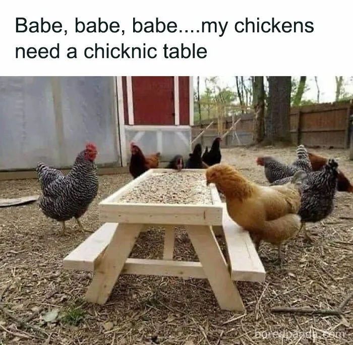 50 Funny Memes That Show Why Country Living Isn’t As Peaceful As You Think
