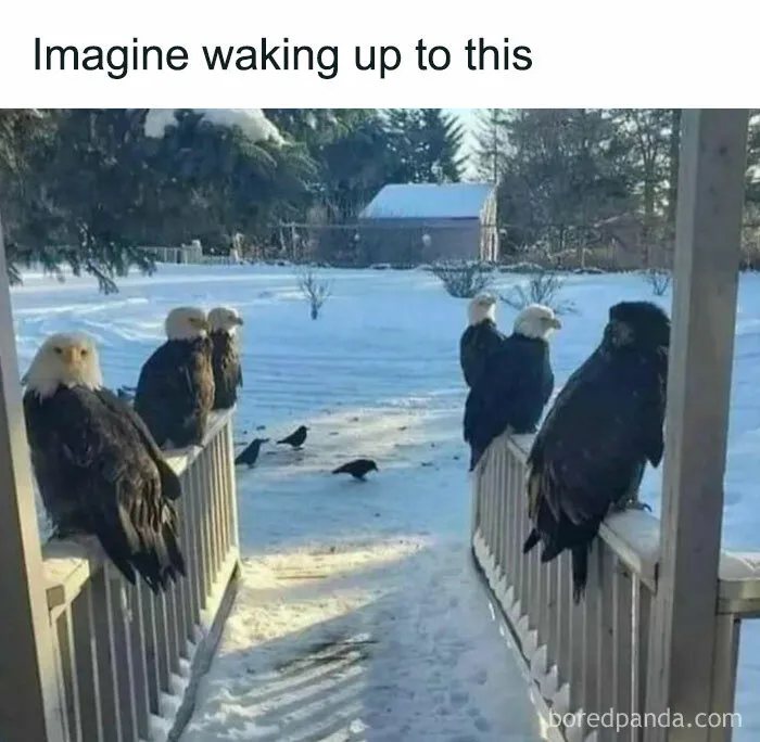 50 Funny Memes That Show Why Country Living Isn’t As Peaceful As You Think