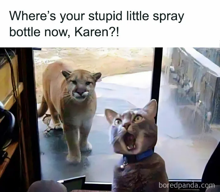 50 Funny Memes That Show Why Country Living Isn’t As Peaceful As You Think