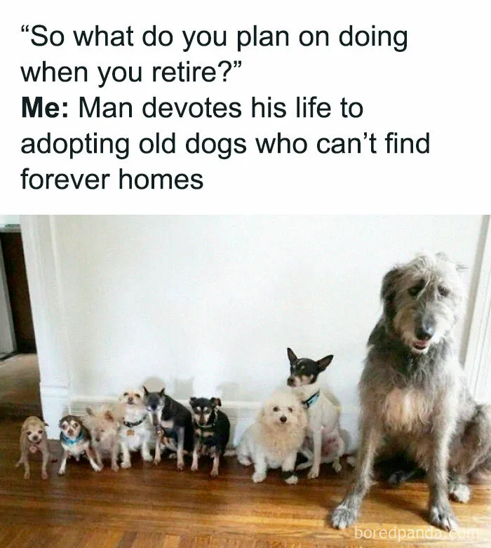 50 Adorable Memes That Prove Dogs Are From A Whole Other Planet