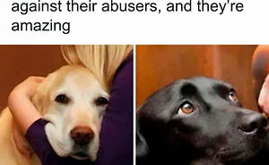 50 Adorable Memes That Prove Dogs Are From A Whole Other Planet