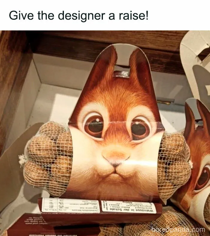 50 Times Animals Were So Unintentionally Hilarious, They Were Turned Into Memes (New Pics)