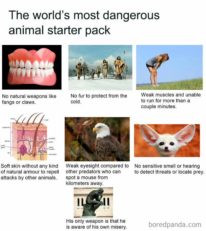 The World's Most Dangerous Animal Starter Pack