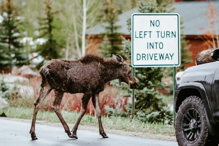 30 Innocent-Seeming Things That Can Actually Take A Life Pretty Much Instantly