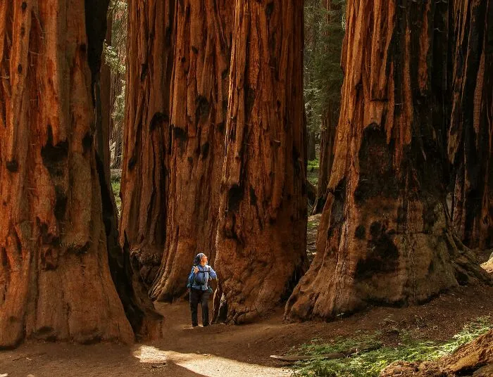 According To Folks Online, These 25 Places Are The Most Beautiful They've Ever Visited