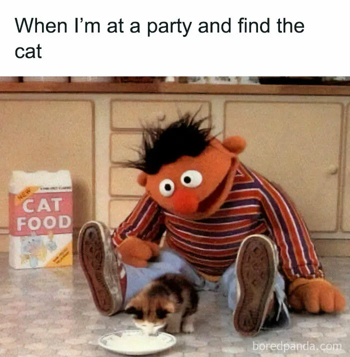50 Funny Memes For Those Who Are In Need Of Their Daily Dose Of Laughter