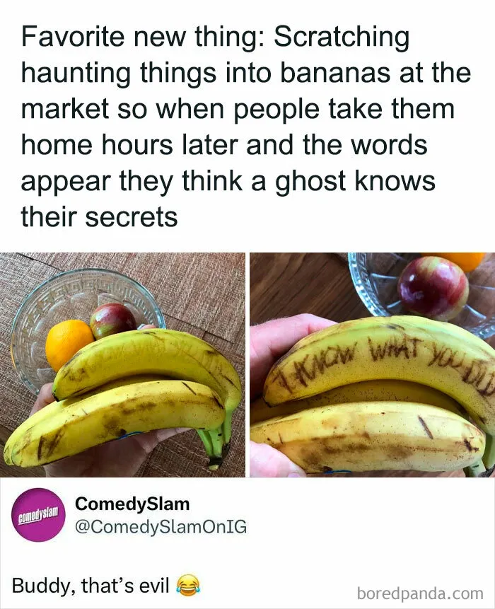 50 Funny Memes For Those Who Are In Need Of Their Daily Dose Of Laughter