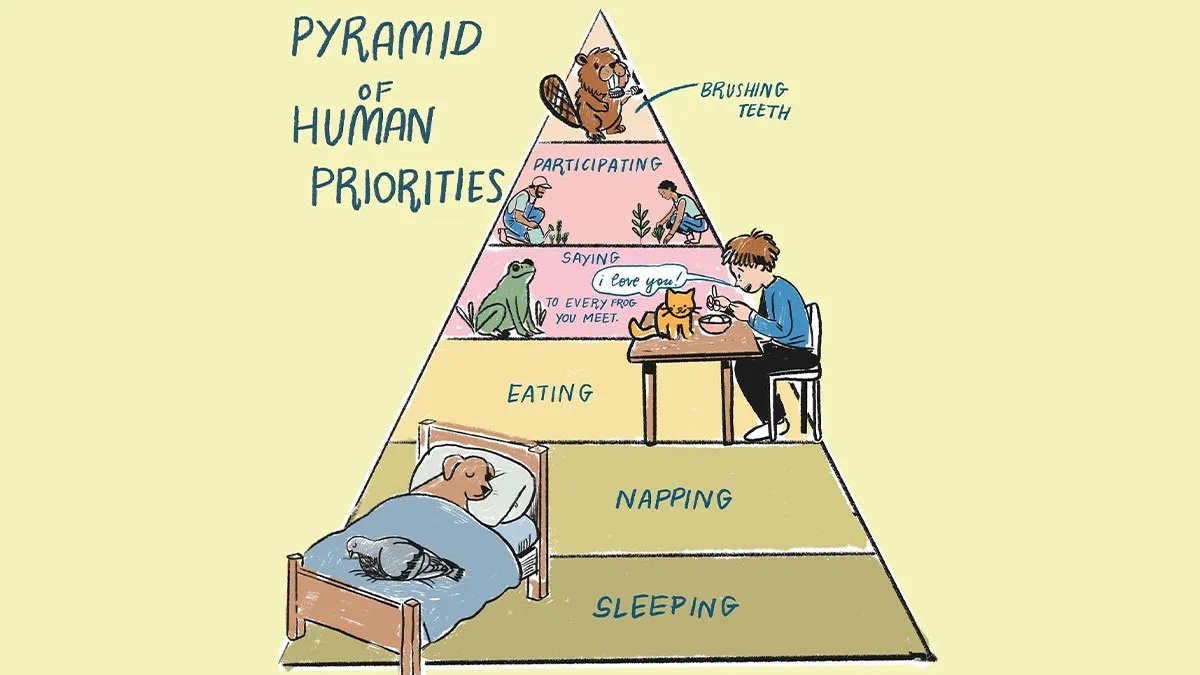 30 Illustrations By Sophie Lucido Johnson That Inspire Slowing Down And Enjoying Simple Stuff