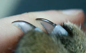 35 Normal Things That Are Actually Pretty Horrific If You Think About It