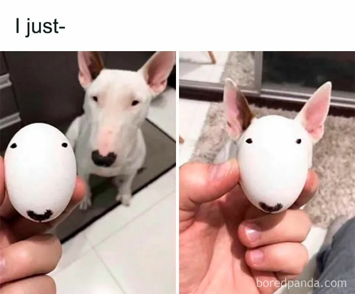 You Might End Up In A Better Mood After Checking Out These 30 Memes (New Pics)