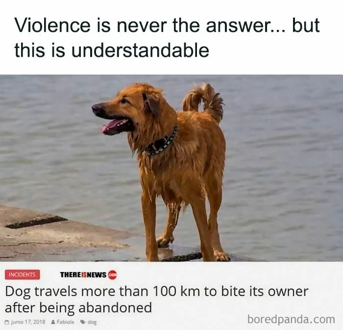 You Might End Up In A Better Mood After Checking Out These 30 Memes (New Pics)