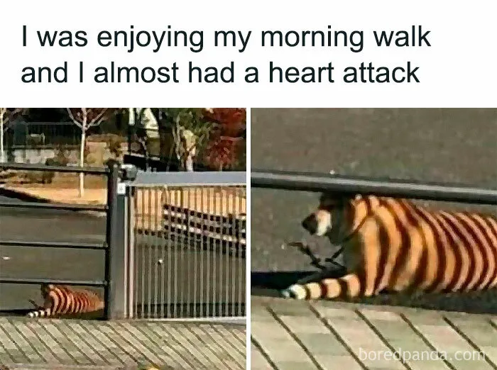 You Might End Up In A Better Mood After Checking Out These 30 Memes (New Pics)