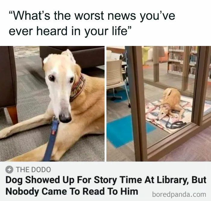 You Might End Up In A Better Mood After Checking Out These 30 Memes (New Pics)
