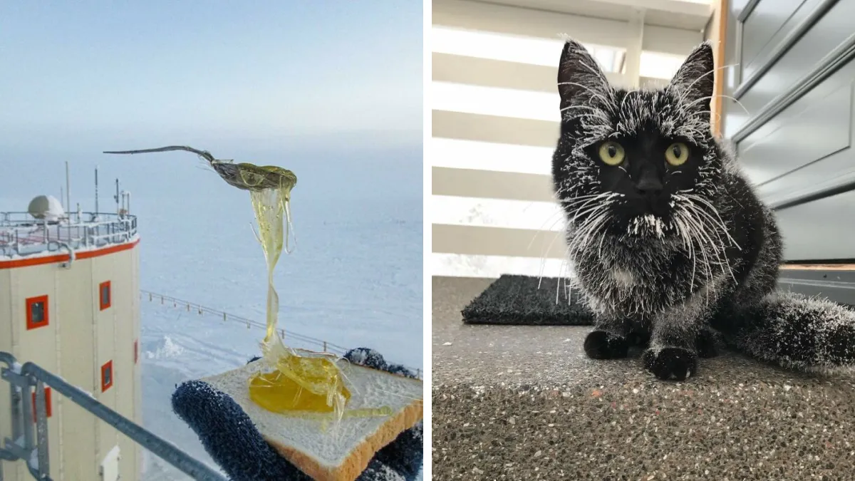 88 Wild Winter Photos That Will Give You Frostbite Just By Looking At Them