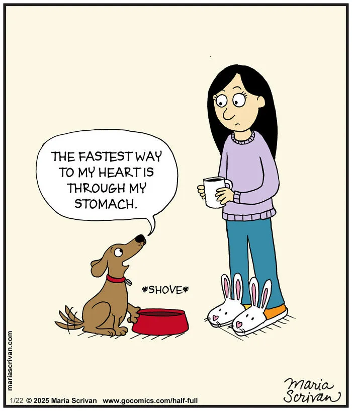 23 Hilarious Comics Featuring Funny Characters And Absurd Situations By This Artist (New Pics)