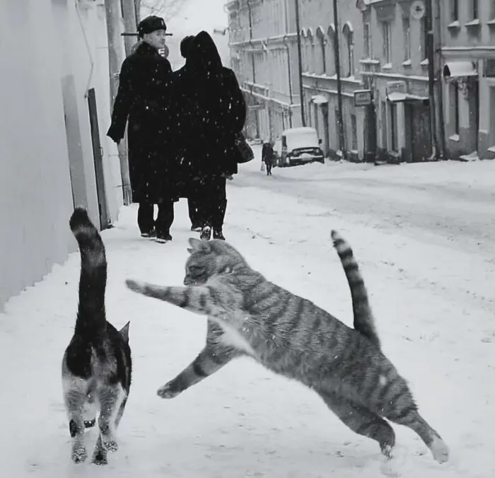 40 Cautivadoras fotos callejeras seleccionadas por «Pure Street Photography»