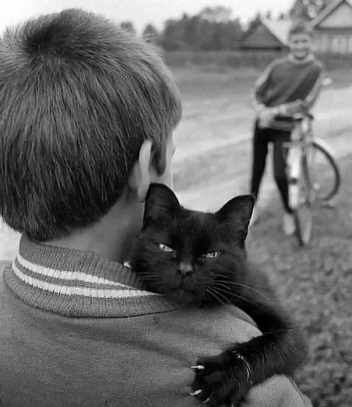40 Cautivadoras fotos callejeras seleccionadas por «Pure Street Photography»