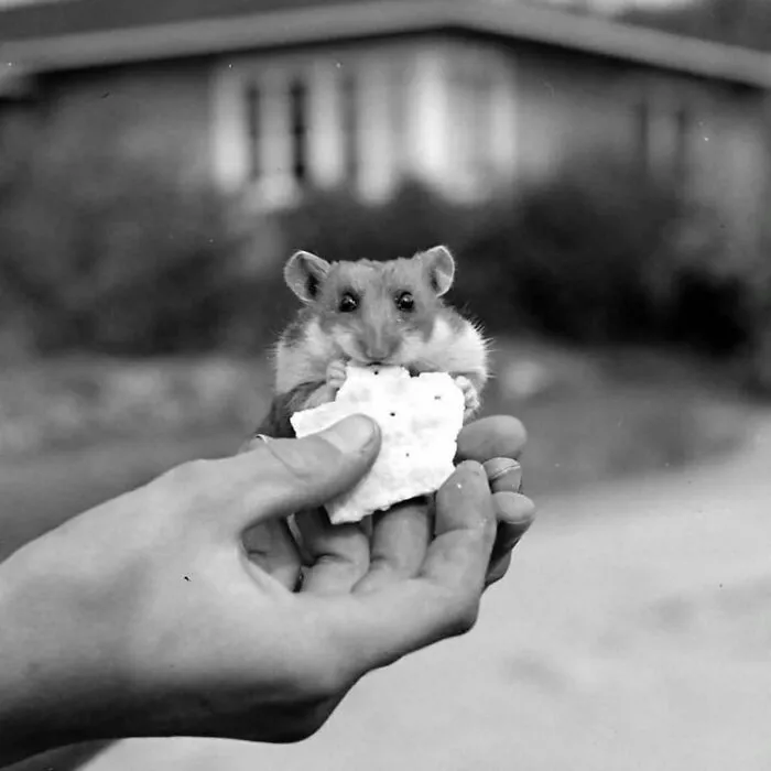 40 Cautivadoras fotos callejeras seleccionadas por «Pure Street Photography»