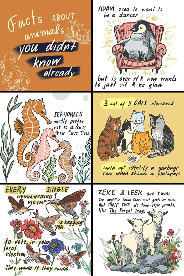 30 Illustrations By Sophie Lucido Johnson That Inspire Slowing Down And Enjoying Simple Stuff