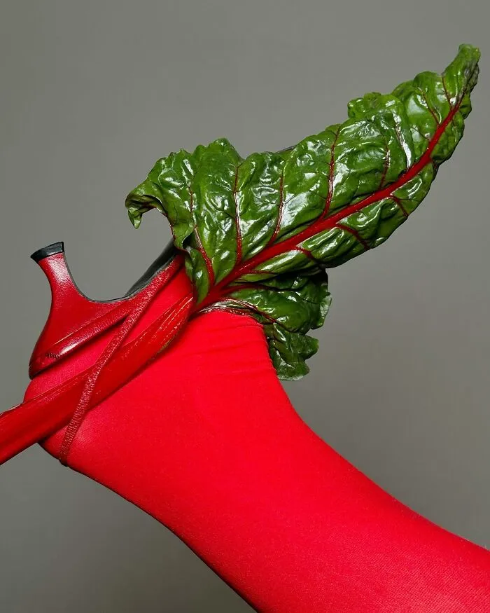Elizaveta Litovka’s Unconventional Footwear (30 Pics)