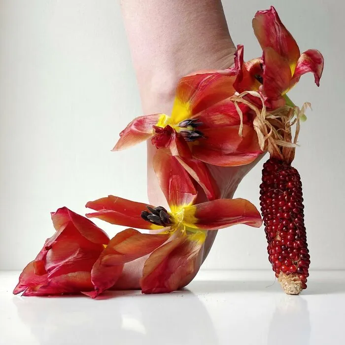 Elizaveta Litovka’s Unconventional Footwear (30 Pics)