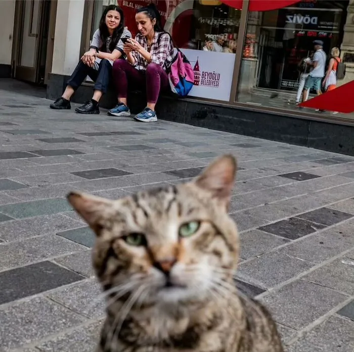 40 Cautivadoras fotos callejeras seleccionadas por «Pure Street Photography»
