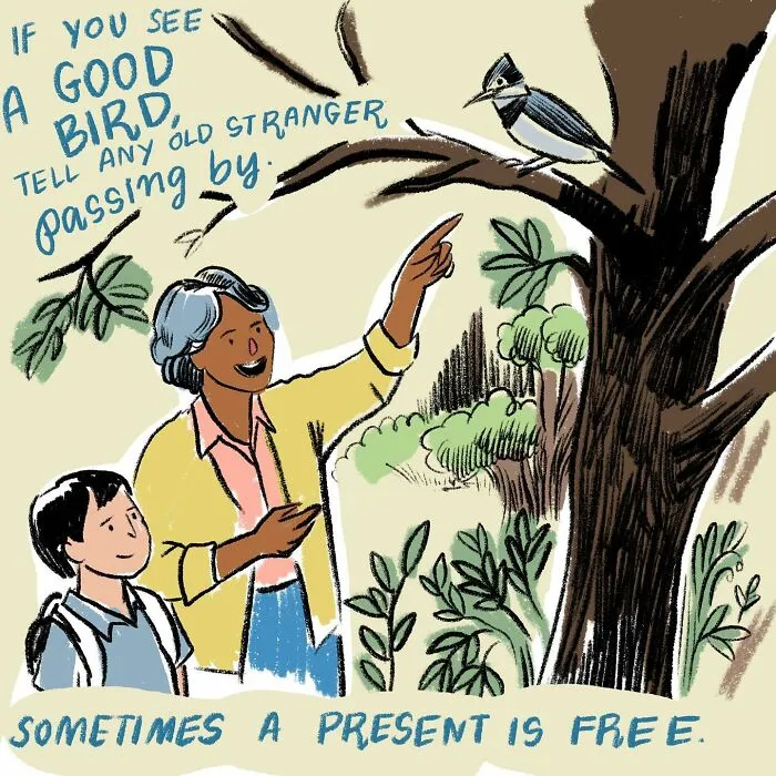 30 Illustrations By Sophie Lucido Johnson That Inspire Slowing Down And Enjoying Simple Stuff