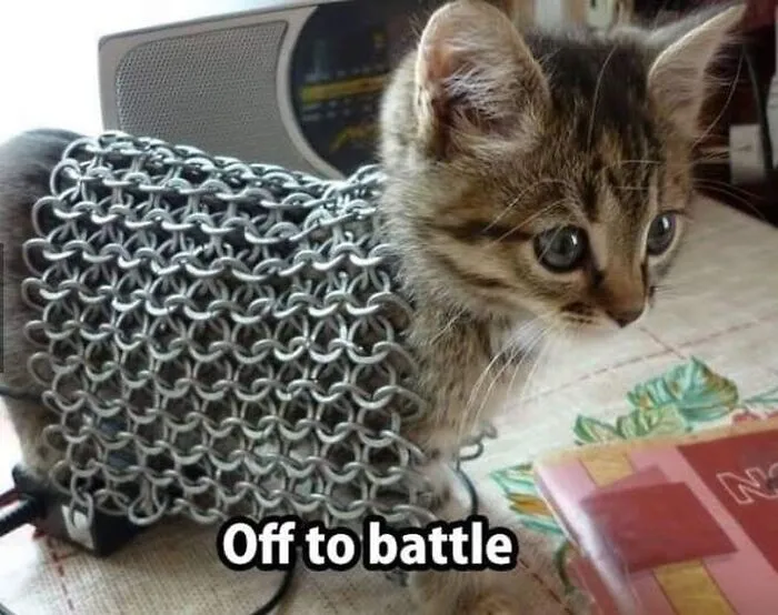 36 Funny And Furry Pics Of Cats Who Aren’t Afraid Of A Hard Day’s Work