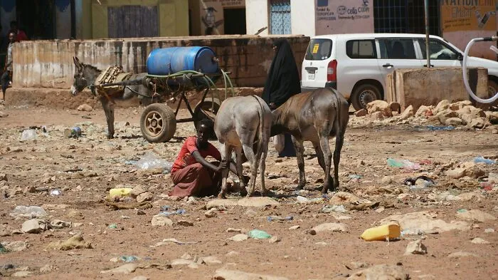32 People Share Shocking Reasons They'd Never Want To Travel To These Countries Again 