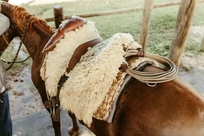 Folks Share What 32 Expensive Purchases Were Worth It Due To Their Quality
