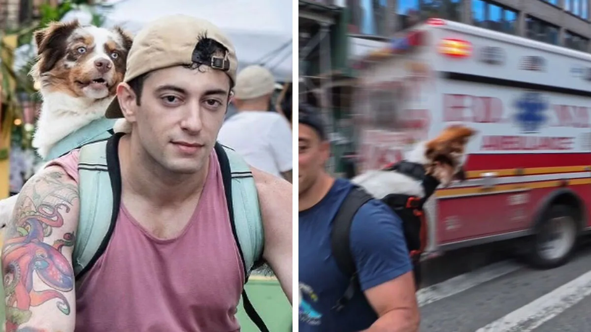 This NYC Dog Joyfully Howls At Ambulances And People Can’t Stop Loving Him