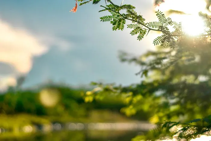 42 Valuable Lessons People Picked Up Embarrassingly Late In Life