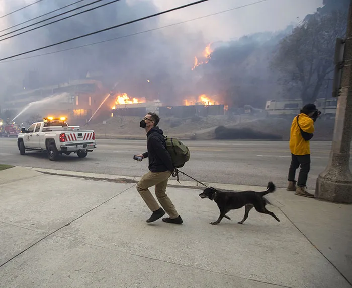 In The Midst Of The LA Fires, 28 Wholesome Moments Offer A Glimpse Of What Really Matters