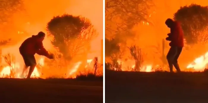 In The Midst Of The LA Fires, 28 Wholesome Moments Offer A Glimpse Of What Really Matters