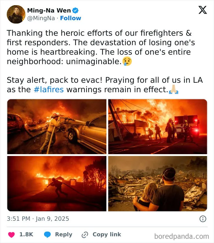In The Midst Of The LA Fires, 28 Wholesome Moments Offer A Glimpse Of What Really Matters
